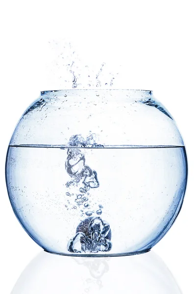 Éclaboussure d'eau dans un bol à poisson sur fond blanc — Photo