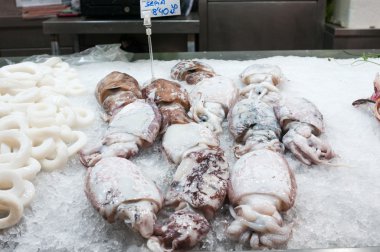 Buz markette taze mürekkep