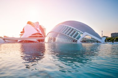 Valencia, İspanya 12 Temmuz 2015: Sanat ve Bilim şehri.
