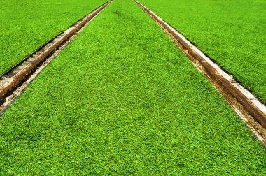 Eski paslı demiryolu parça çim