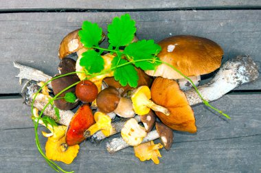 Ahşap arka planda mantarlar