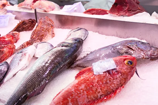 Pesce fresco sul ghiaccio al mercato — Foto Stock