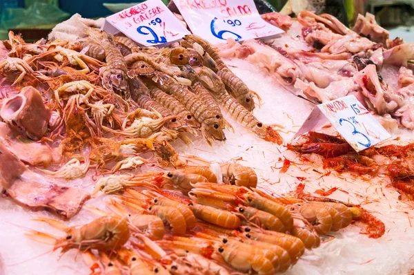 Camarões frescos e outros frutos do mar em gelo no mercado — Fotografia de Stock