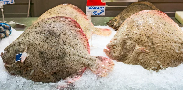 Fresh halibut on ice at the market — Stock Photo, Image