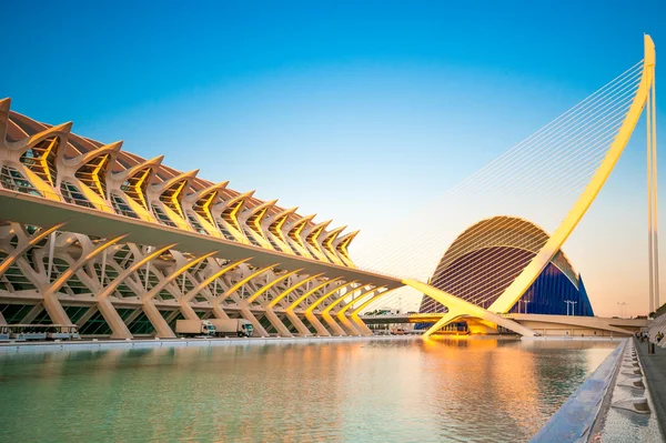 Valencia, España en julio 12, 2015: Ciudad de las Artes y las Ciencias . — Foto de Stock