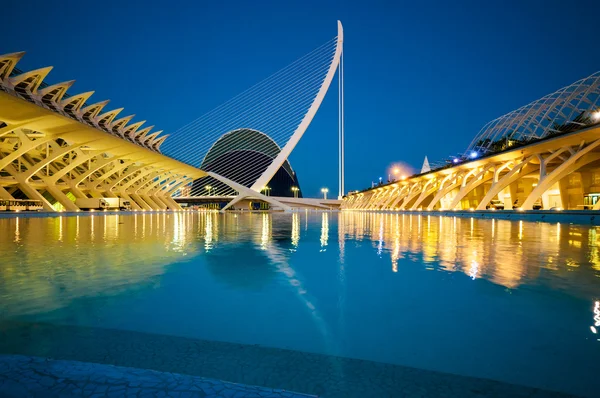 Valencia, España en julio 12, 2015: Ciudad de las Artes y las Ciencias . — Foto de Stock