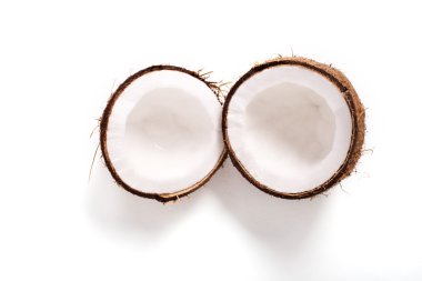coconut meat clipart