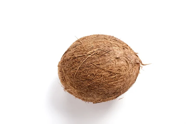 Viande de noix de coco — Photo