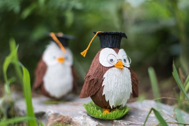 owlet öğrenci