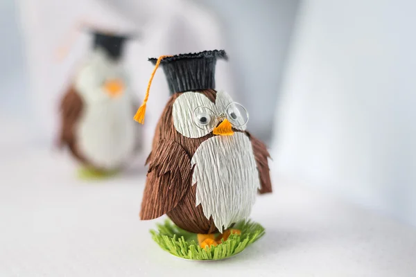 Owlet student — Stock Photo, Image