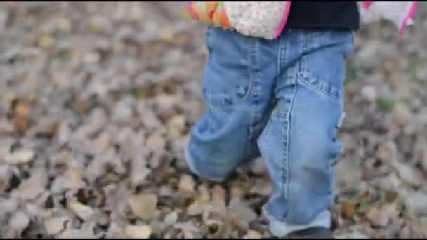 Девушка играет с опавшими сухими листьями ... — стоковое видео
