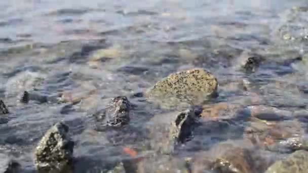 El agua de mar muele rocas costeras. Olas marinas ... — Vídeos de Stock