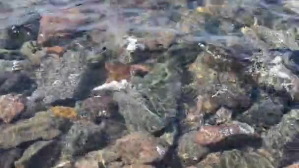 El agua de mar muele rocas costeras. Olas marinas ... — Vídeos de Stock