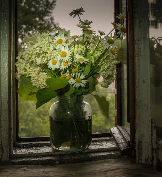 雏菊在窗口上锅的花束 — 图库照片