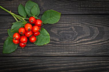 Kırmızı gül kalça ve yapraklar siyah tahtalarda reklamlar veya yazıtlar için boşluk ile