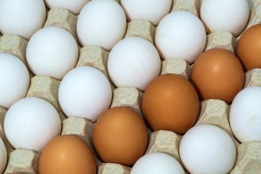 Tepside taze beyaz ve kahverengi tavuk yumurtası. Yumurta yemek pişirmek için ana malzemedir.