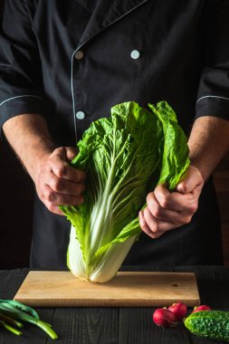 Şef taze Napa lahana salatası yapar. Restoranın mutfağında dilimleme hazırlığı. Sebze diyeti fikri.