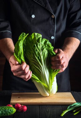 Profesyonel bir aşçı ya da ahşap masaya taze sebze serpiştirilmiş tuz salatası. Mutfak restoranlarında sağlıklı yemek hazırlamak taze bir Napa lahana salatası yapar. Restoranın mutfağında dilimleme hazırlığı. Sebze diyeti fikri.