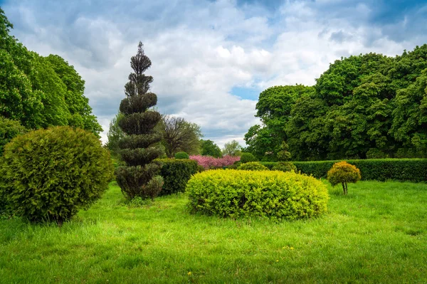 Bela Arte Topiária Projeto Parque Árvores Arbustos Aparados Parque Cidade — Fotografia de Stock