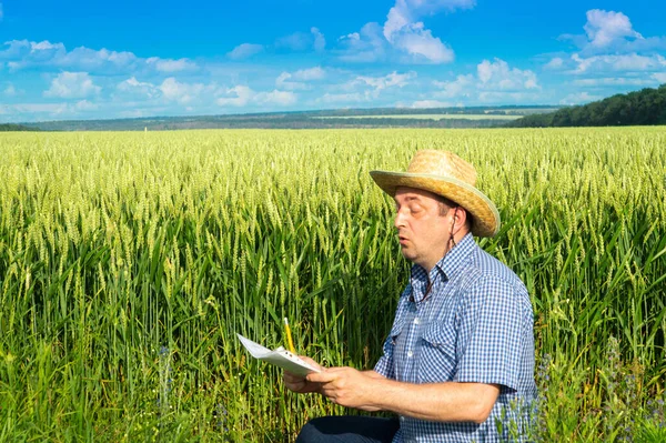 農家は畑で小麦を育てる計画を書いている 良い収穫のためのプランテーションの世話のアイデア — ストック写真