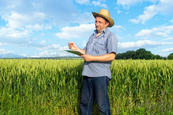 高齢農家は畑で小麦を育てる計画を書いています 良い収穫のためのプランテーションの世話のアイデア — ストック写真