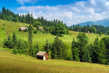 Yazın dağlık kırsal manzara manzarası eski bir ev ve ladin Karpatya Ukrayna