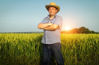 Güneşli bir günde buğday tarlasında dikilip hasatı inceleyen kıdemli çiftçi. Çiftlik bakımı fikri