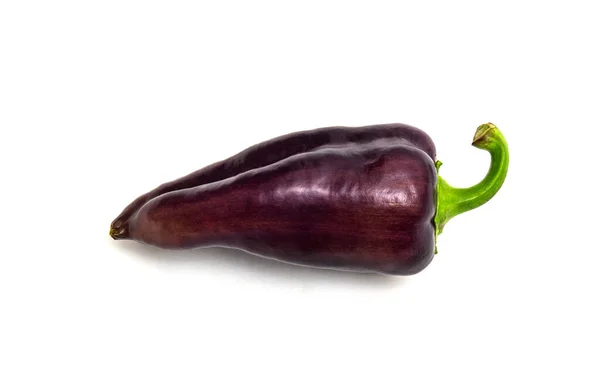 Jeden Purpurowy Pieprz Białym Tle Warzywa Zbiorach — Zdjęcie stockowe