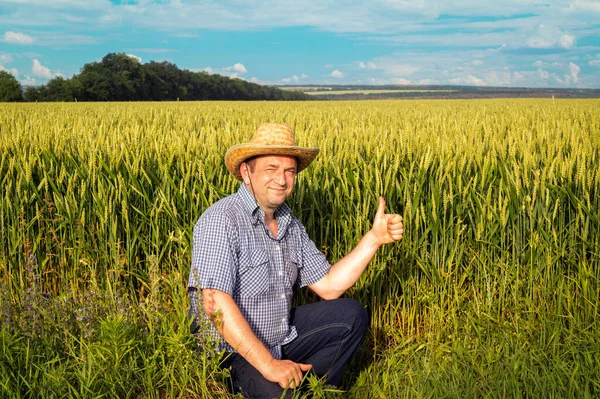 良い収穫の兆候を与える上昇親指でコムギ畑の上級農家 — ストック写真