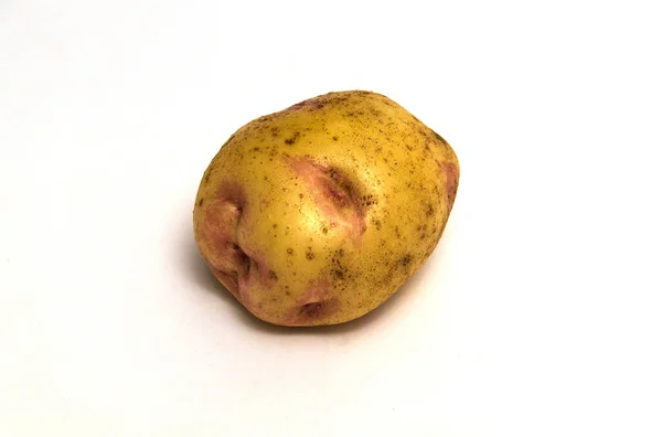 One Picasso Potato Variety Human Consumption Depending Climatic Zone Growth — Stock Photo, Image