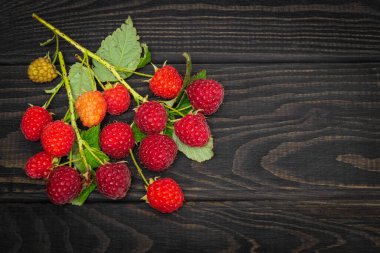 Yapraklı olgun kırmızı ahududu dalı hasattan sonra koyu renkli bir masada yatar. Ücretsiz reklam alanı