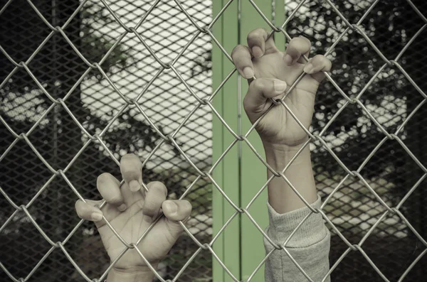 Hands with steel mesh fence — Stock Photo, Image