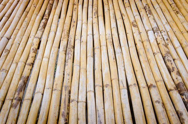 Bamboo flooring background — Stock Photo, Image