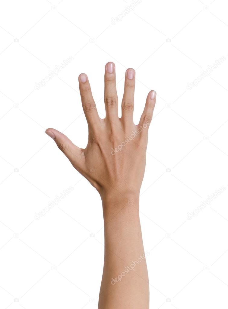 Man's hand isolated on white background Stock Photo by ©khwanchais 113713234