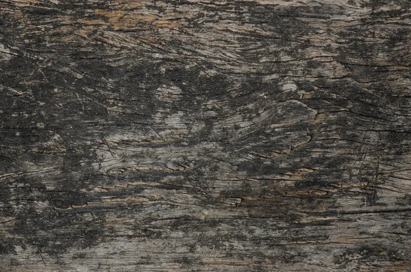 Textura del uso de madera de corteza como fondo natural —  Fotos de Stock