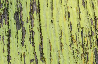 Eski püskü ahşap kırık renk boya ile