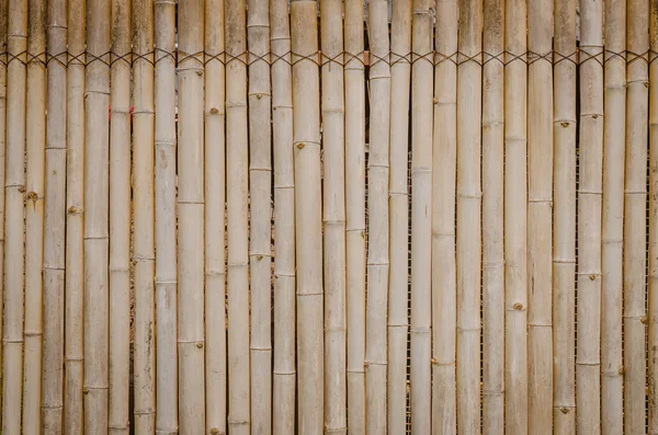 Old bamboo wall background — Stock Photo, Image