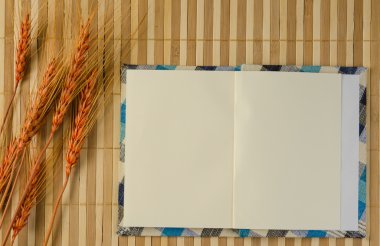 boş sarmal not defteri defter