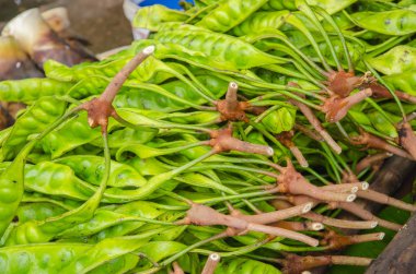 Taze Parkia yenilebilir fasulye, Tay tarzında t leş gibi tropikal