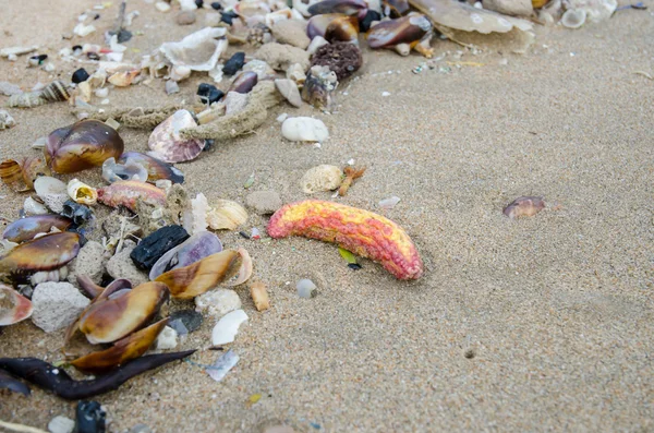 Szemét a strandon, környezetszennyezés — Stock Fotó