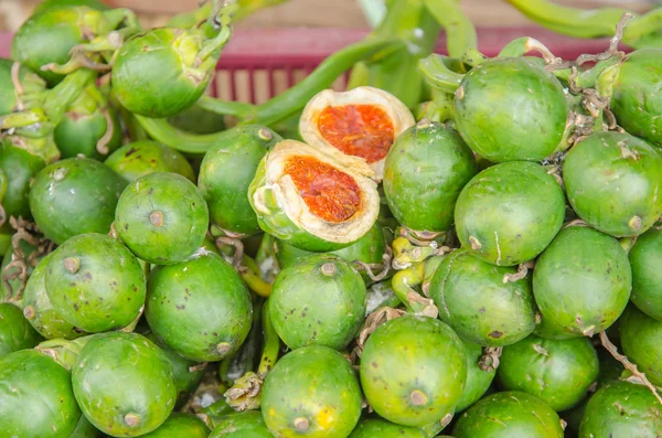 Palma di noce di betel — Foto Stock