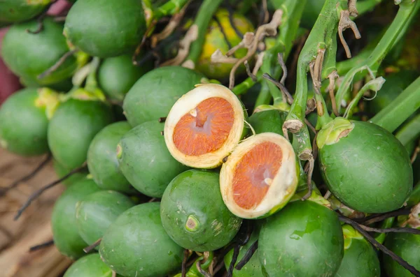 Palma di noce di betel — Foto Stock