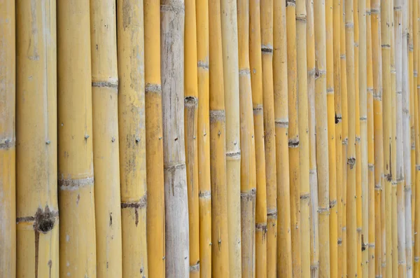 Old bamboo wall background — Stock Photo, Image