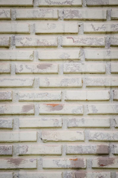 Background of brick wall texture — Stock Photo, Image