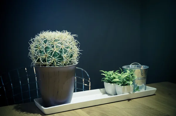 Artificial cactus on wooden table — Stock Photo, Image