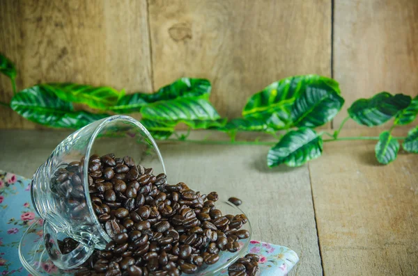 Kaffeebohnen mit Tasse auf Holztisch — Stockfoto