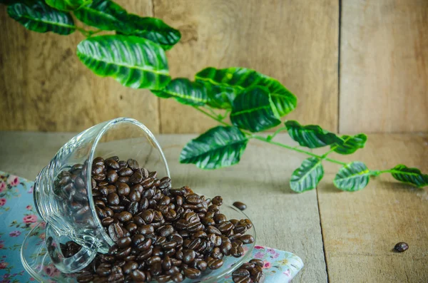 Granos de café con taza en la mesa de madera — Foto de Stock