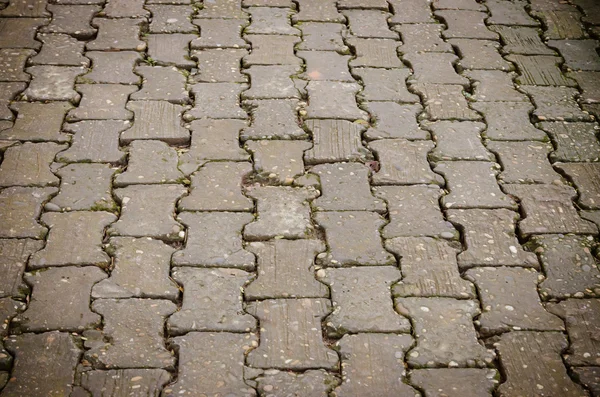 Textura de suelo de cemento expuesto embaldosado . —  Fotos de Stock