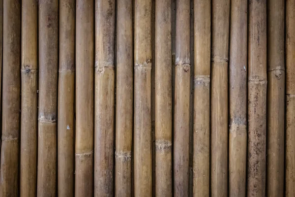 Close up of bamboo fence — Stock Photo, Image