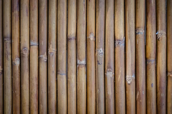 Close up of bamboo fence — Stock Photo, Image